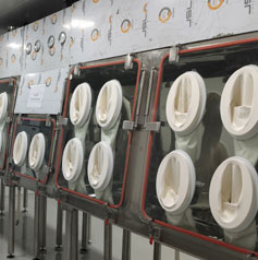 Analytical Laboratory